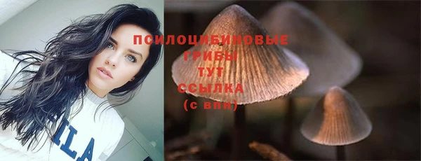 стаф Наволоки