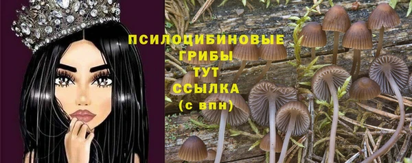 тгк Надым
