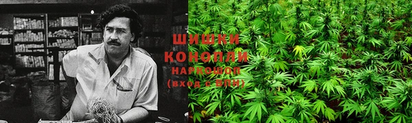 стаф Наволоки