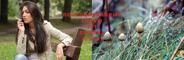 тгк Надым