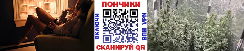 Бошки Шишки планчик  Красково 